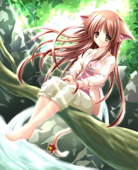 Anime Babes scene - anime babes532